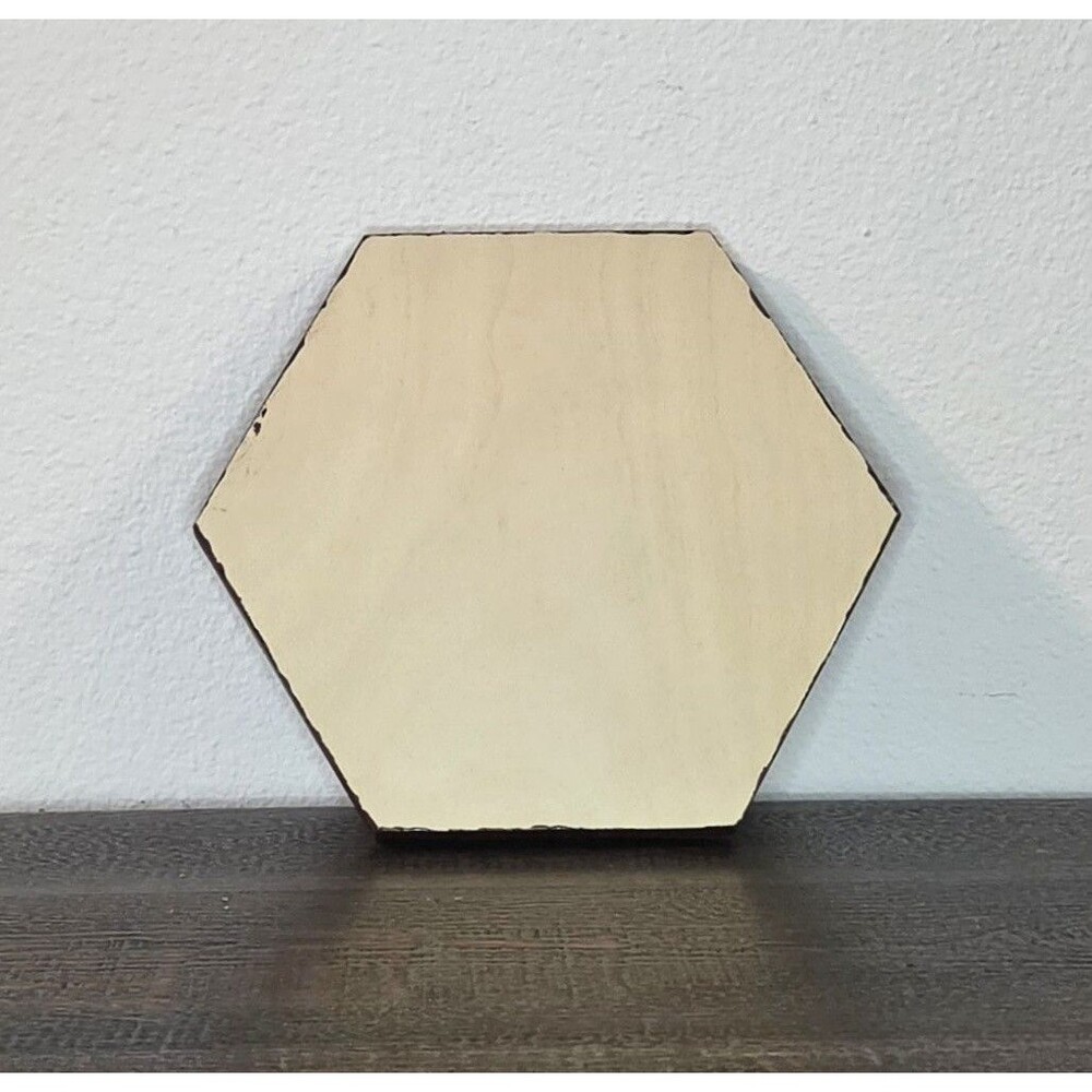 Preserved Moss Wall Art Handcrafted 8x9" Hexagonal Wooden Frame - Picture 2 of 4